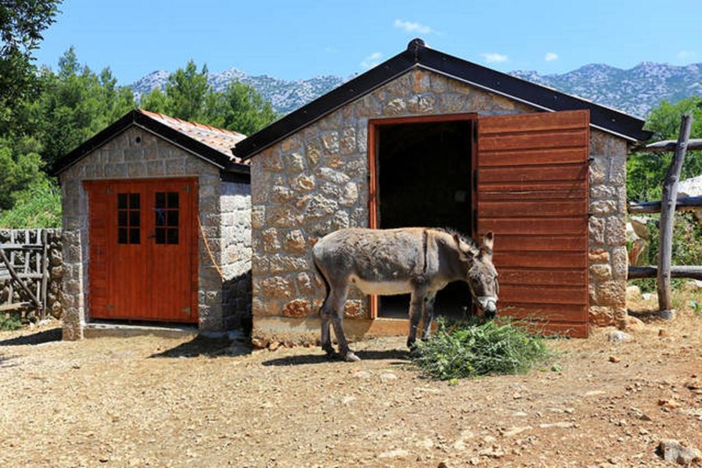 Stone House Magarac Seline Exterior photo